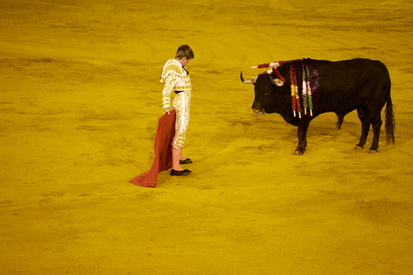 ANDALUSIA SPAIN. Bullfight in Seville Arena Print