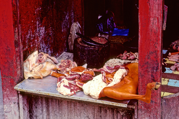 Nepal. Kathmandu. Butrcher Print