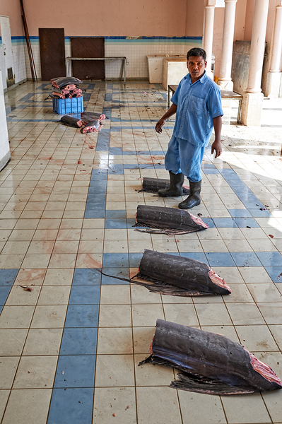 Oman Nizwa. The Fish Market Print