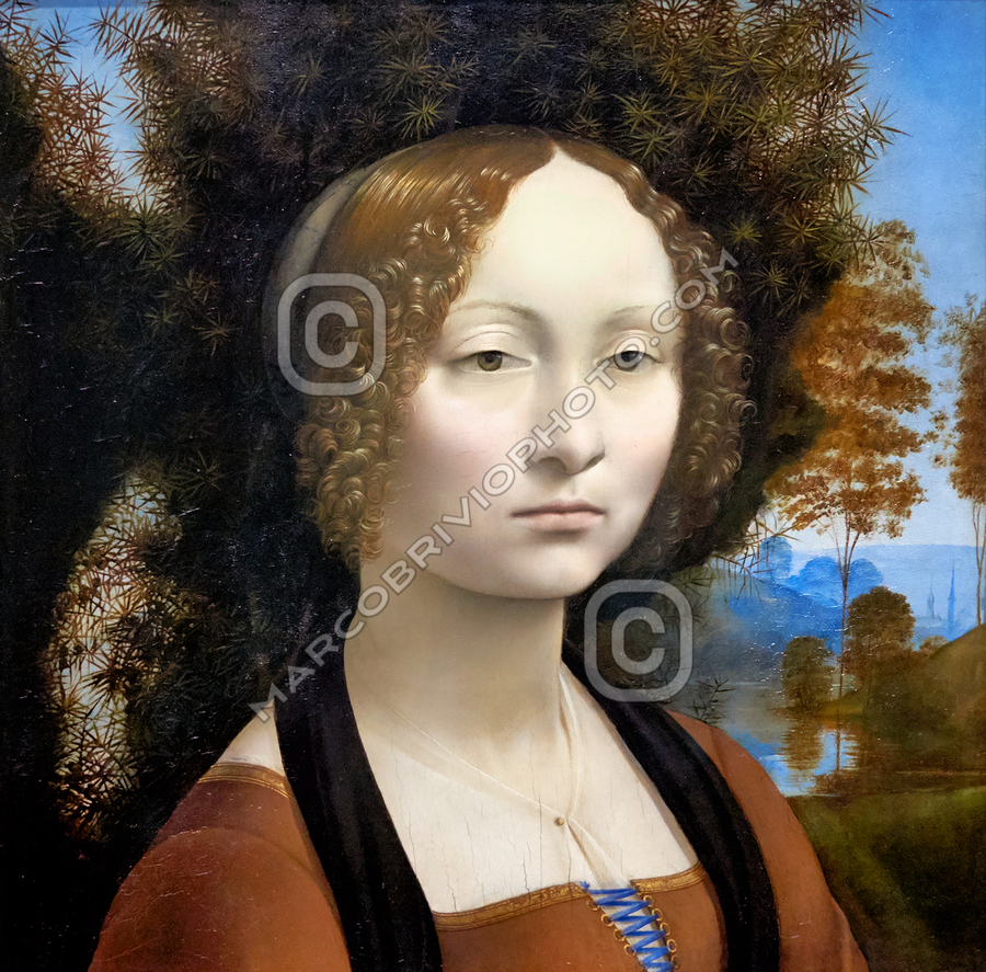 美術書 ダヴィンチLeonardo & Venezia Bompiani Leonardo da Vinci - Ginevra de Benci -147478 by Marco Brivio