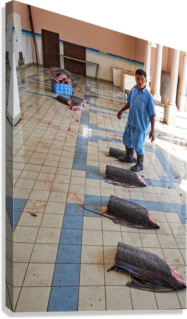 Oman Nizwa. The Fish Market Canvas Print