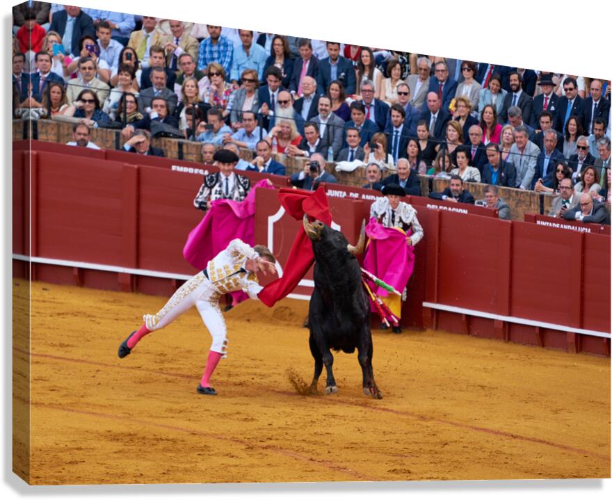 ANDALUSIA SPAIN. Bullfight in Seville Arena Canvas Print