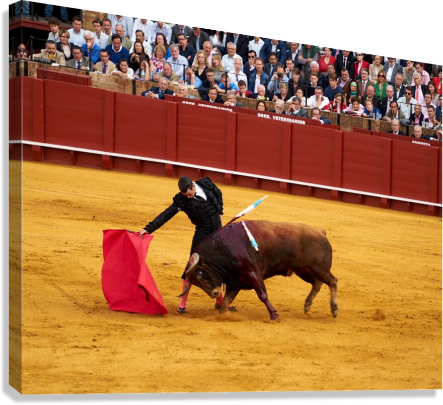 ANDALUSIA SPAIN. Bullfight in Seville Arena Canvas Print