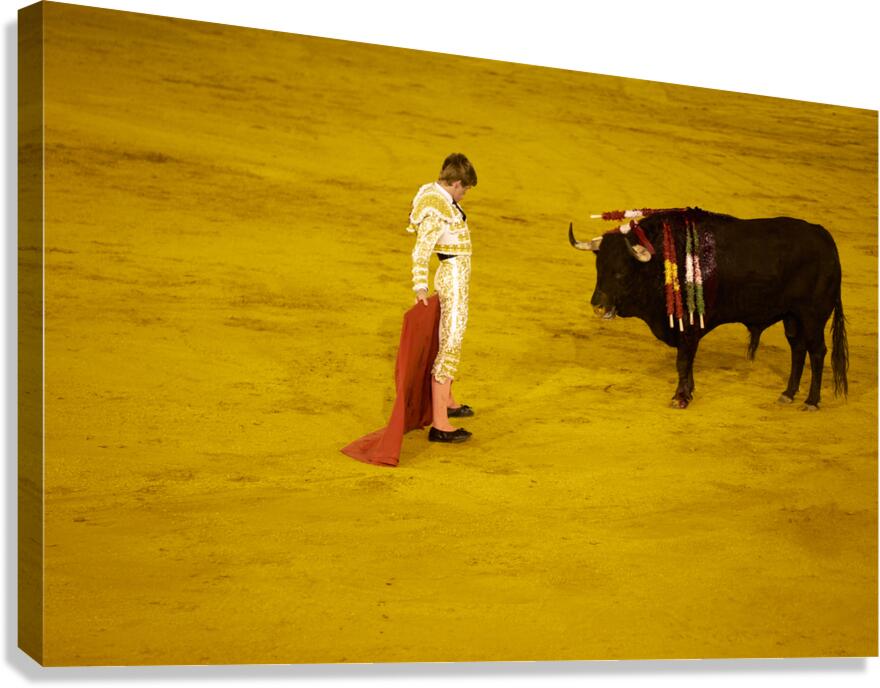 ANDALUSIA SPAIN. Bullfight in Seville Arena Canvas Print