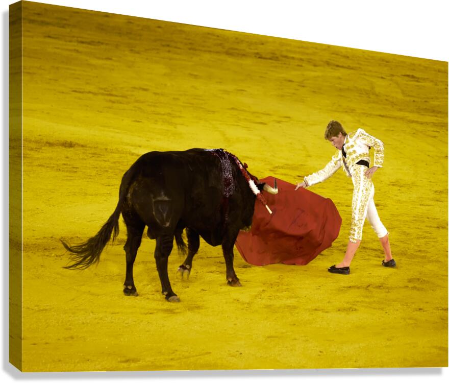 ANDALUSIA SPAIN. Bullfight in Seville Arena Canvas Print