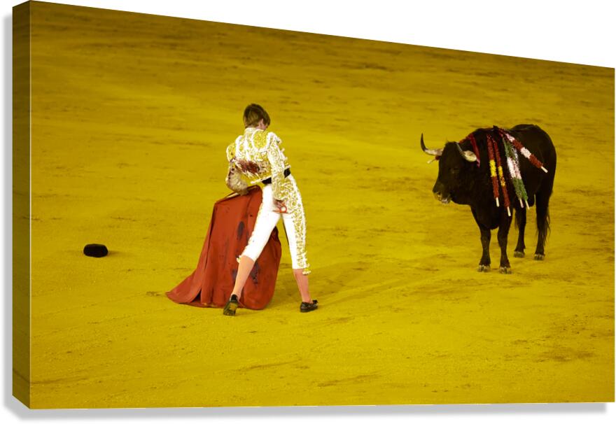 ANDALUSIA SPAIN. Bullfight in Seville Arena Canvas Print
