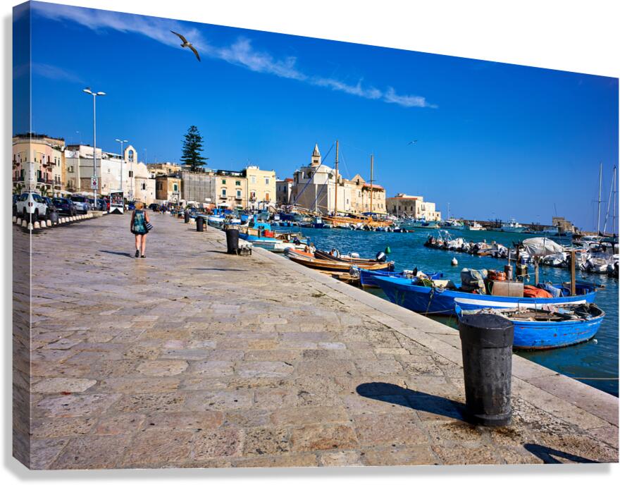 Apulia Puglia Italy. Trani. The seaport Canvas Print