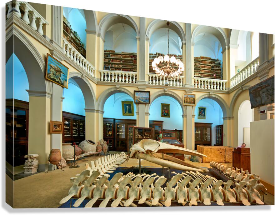 Salento. Apulia Puglia Italy. Gallipoli. Civic Museum Emanuele Barba Canvas Print