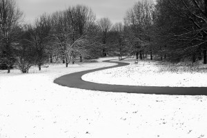 Walk On a Winter Day