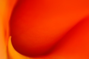 Wave of Orange