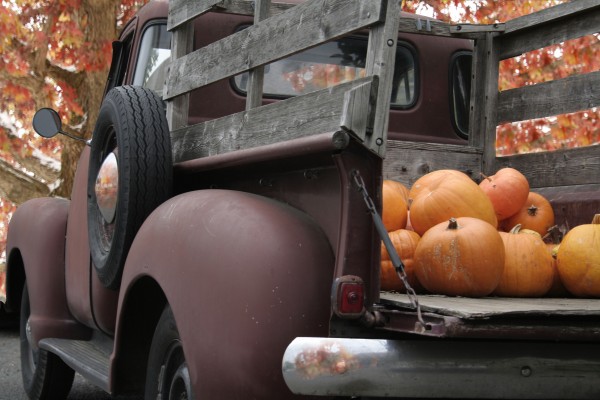 Picking Pumpkins Print