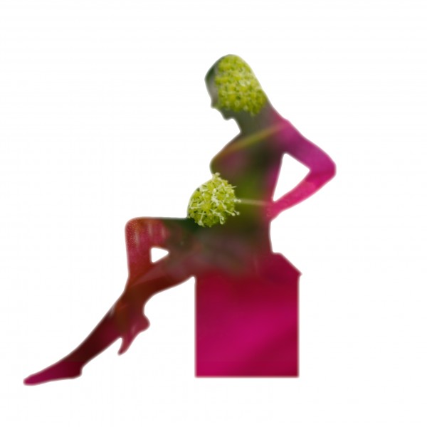 Contemplation Print