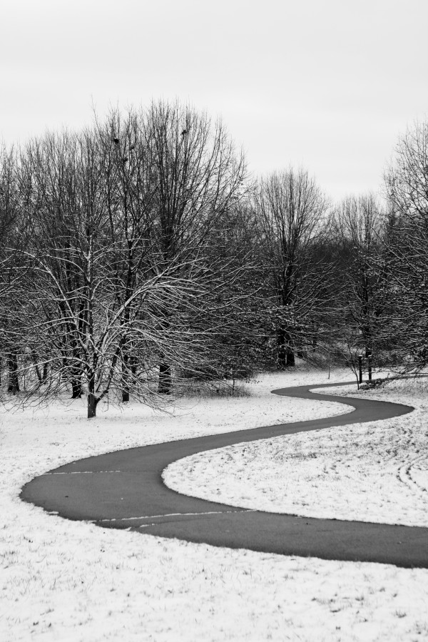 Pathway Print