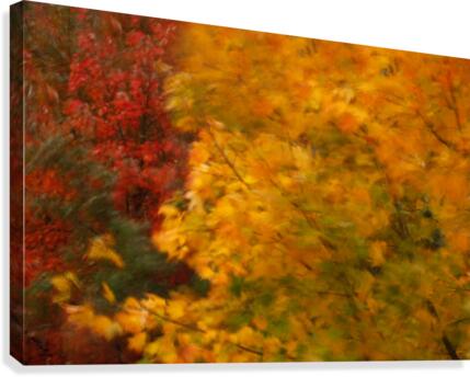 Wind Canvas Print