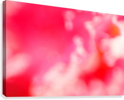 Pink Clouds Canvas Print