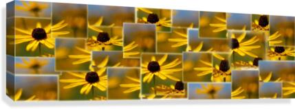 Sky Collage Canvas Print