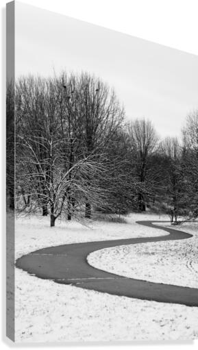 Pathway Canvas Print