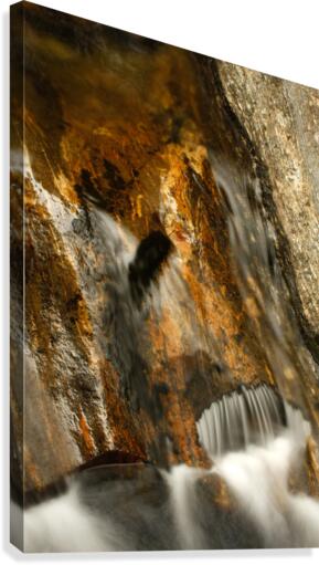 Golden Flow Canvas Print