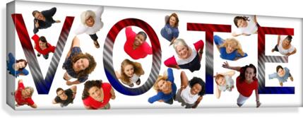 VOTE Project  Canvas Print