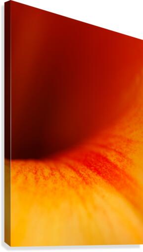Orange Vortex  Canvas Print