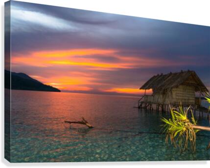 Simple life Canvas Print