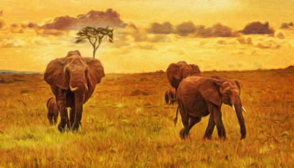 Herd of elephants at sunset by Nick Fox