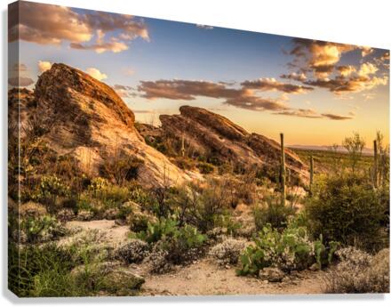 Javelina Rock Hike