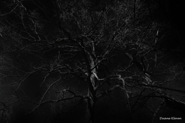 Destitute in Spirit by DKleven Photography
