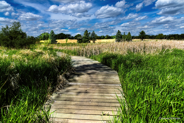The Journey Begins4 by DKleven Photography