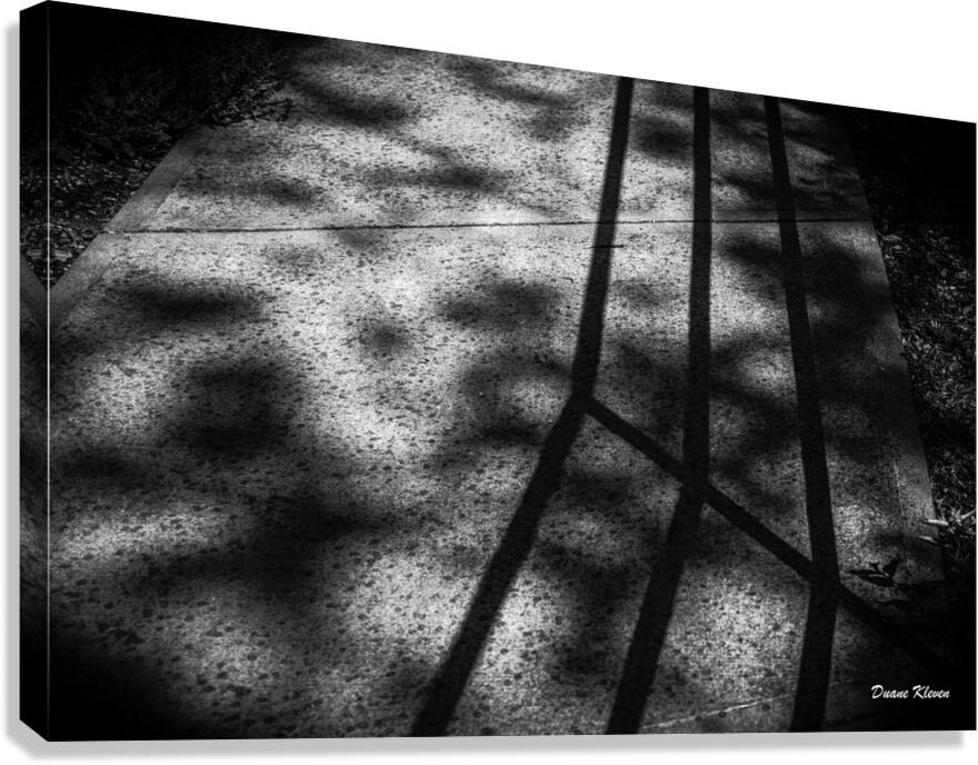 Shadow1 Canvas Print