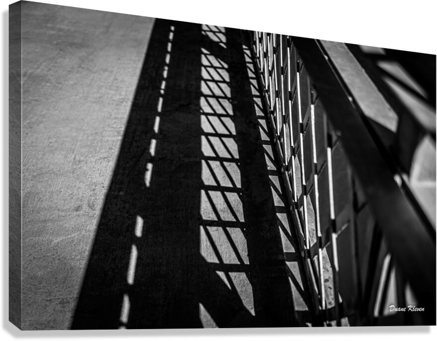 Shadow2 Canvas Print