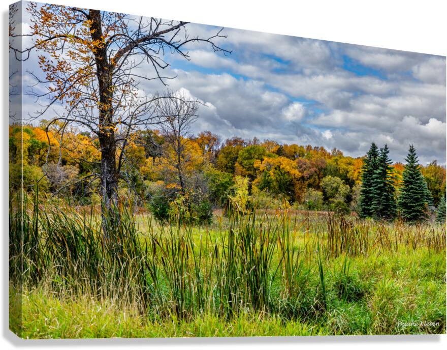 Meadow1 Canvas Print