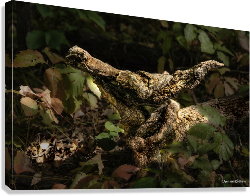 Shape & Texture1 Canvas Print