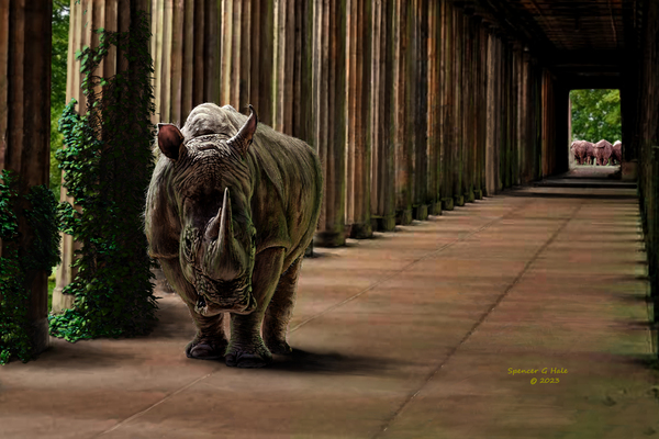 Wrong Turn by Spencer G Hale