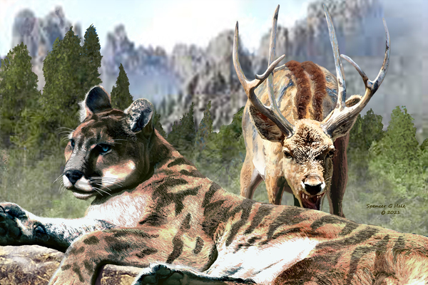 Deer Attack by Spencer G Hale