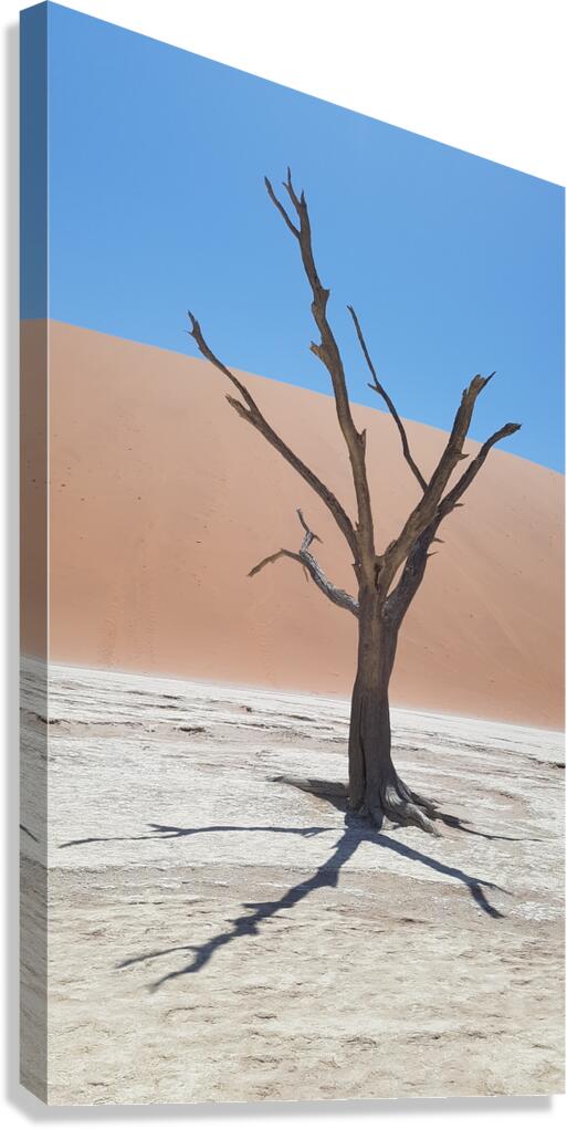 Deadvlei 2 Canvas Print