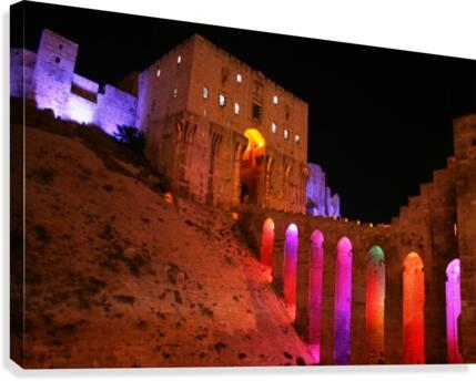 Aleppo citadel Canvas Print