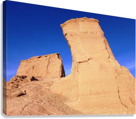 Kaluts 1 Canvas Print