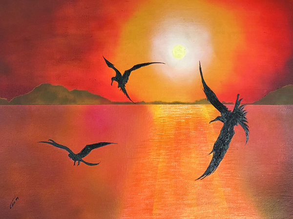 GALAPAGOS BOOBIES FLIGHT Print