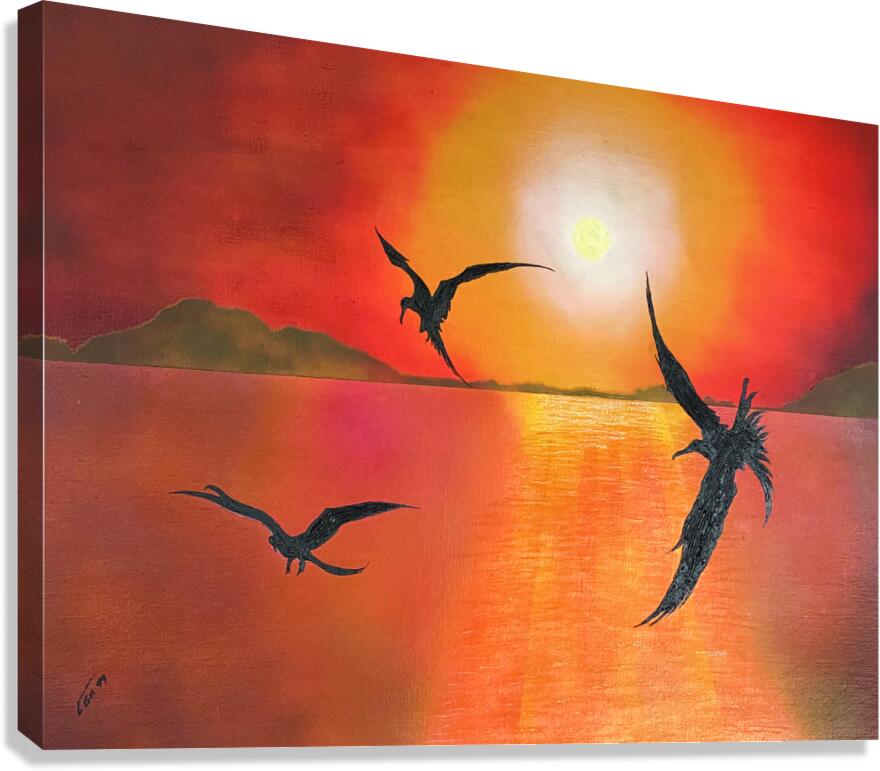 GALAPAGOS BOOBIES FLIGHT Canvas Print