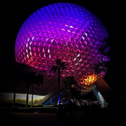 Night Magic