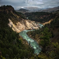 Yellowstone River