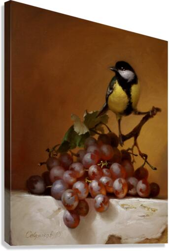 Alarmed tit Canvas Print