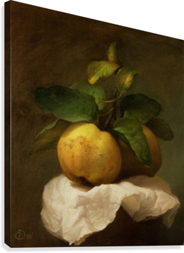Quince Canvas Print