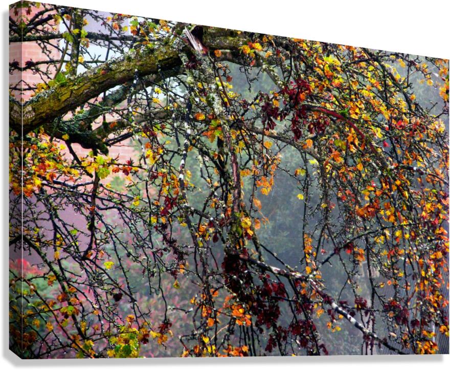Intricate Autmn Canvas Print