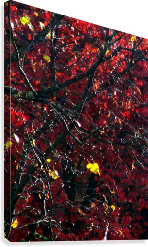 Red Tree Abstract Canvas Print