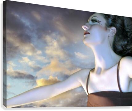 The Empath Canvas Print