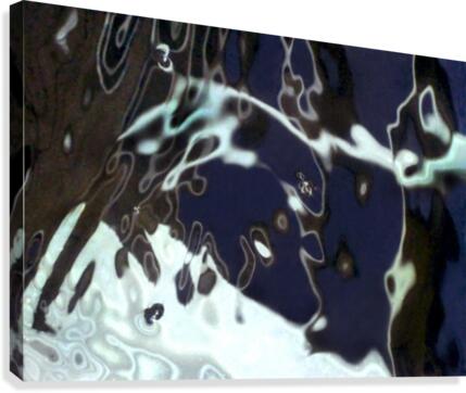 BiPolar Canvas Print