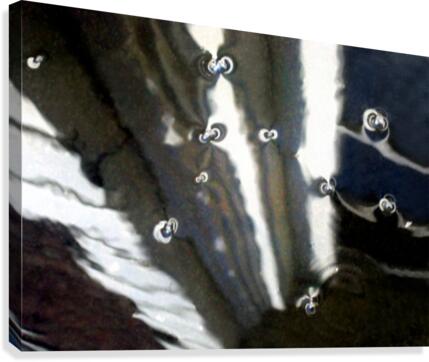 Floating Memories Canvas Print