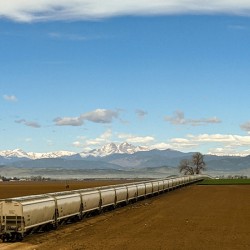 train